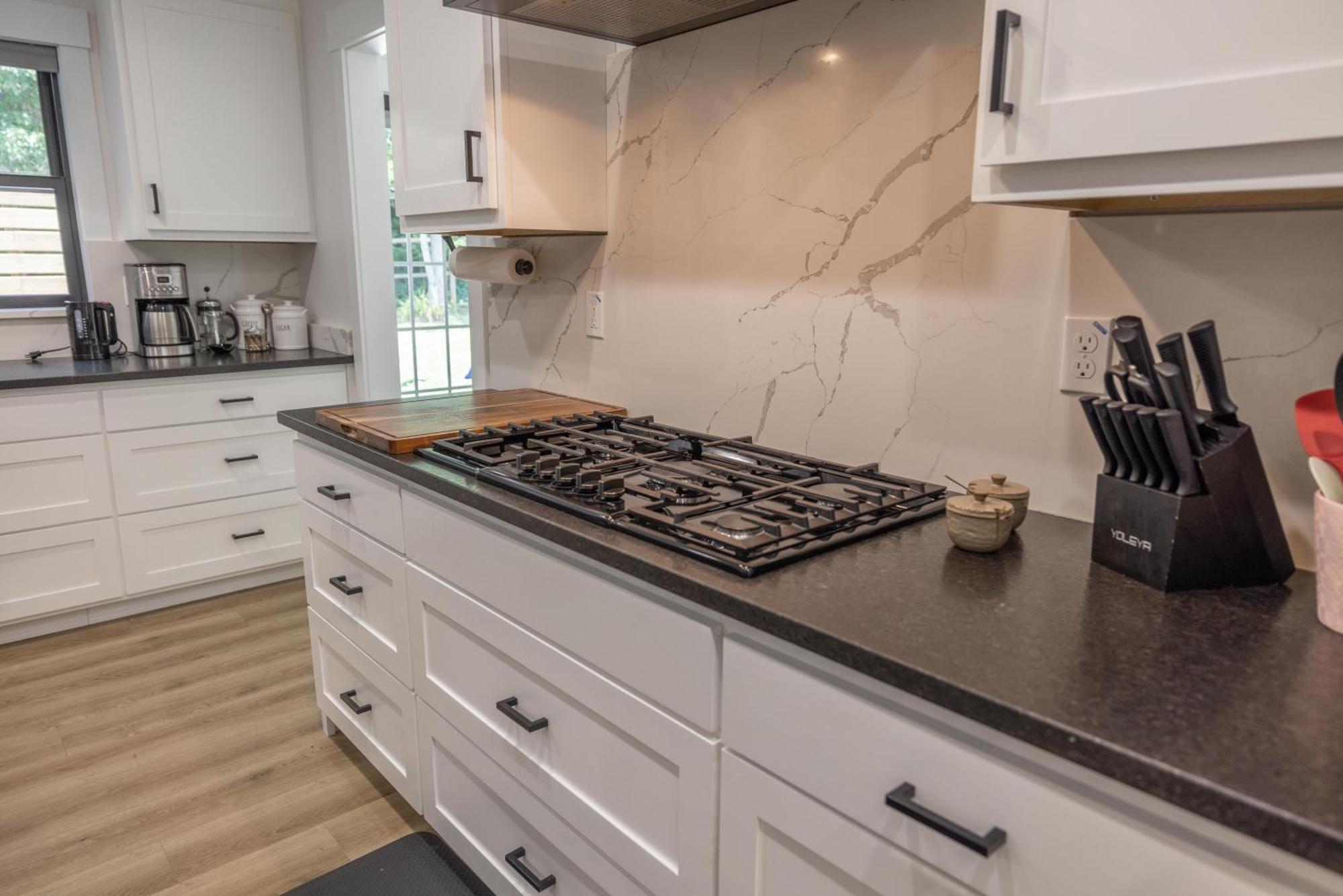 アシュビル Mid-Century Modern Impeccable Remodel With Hot Tubヴィラ エクステリア 写真